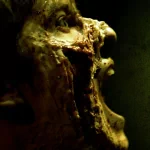  Music - Dead Haven