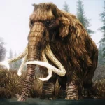 video game The Elder Scrolls PFP