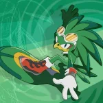 video game Sonic Riders PFP