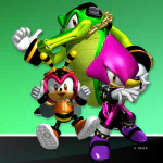 video game Sonic Heroes PFP