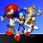 video game Sonic Heroes PFP