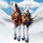 Download Movie Brother Bear PFP