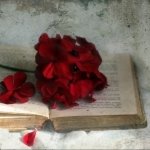 Download Man Made Book PFP