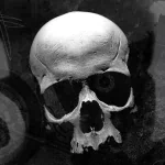 TV Show Sons Of Anarchy PFP