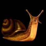 Download Snail Video Game Albedo PFP