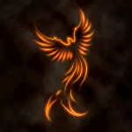  fire phoenix