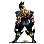 Download Comic Wolverine PFP