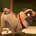 movie The Nut Job PFP