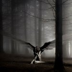 Fantasy-themed avatar depicting a dark angel with black wings kneeling in a misty, eerie forest.