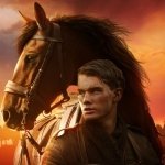 Download Movie War Horse PFP