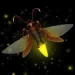 Download Video Game N2O PFP