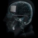 Download Video Game POSTAL 2 PFP