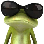 Cool Frog - CGI - 3D