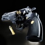 Download Man Made Revolver PFP