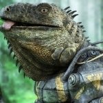 Download Fantasy PFP