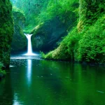 nature waterfall PFP