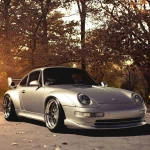 vehicle Porsche PFP