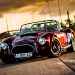 vehicle cobra PFP