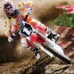  Honda Dirt Bike 