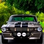 Download Vehicle Ford Mustang GT500 PFP