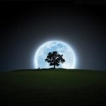Download Nature Moon PFP