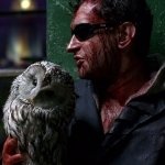 Download Movie Night Watch PFP