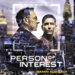 TV Show Person Of Interest PFP