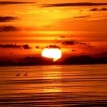 Download Nature PFP