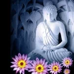 religious buddhism PFP