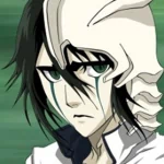Anime Bleach PFP