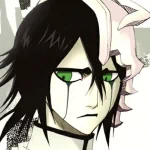 Ulquiorra Cifer Anime Bleach PFP