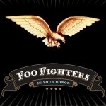 Download Music Foo Fighters PFP