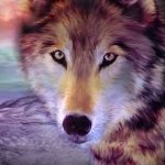 Download Animal Wolf PFP