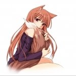 Download Anime Spice And Wolf PFP