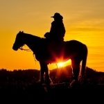 8 Cowboy Forum Avatars | Profile Photos - Avatar Abyss