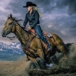 Download Horse Cowgirl Photography Horse Riding PFP