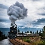 Download Vehicle Train PFP