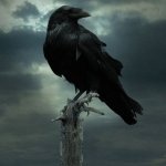 Download TV Show Game Of Thrones PFP