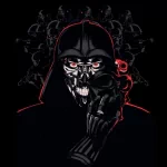 humor funny Star Wars Darth Vader Sci Fi PFP