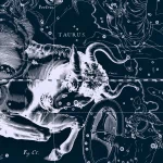 fantasy zodiac PFP