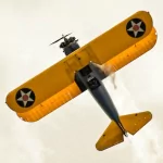 military aircraft PFP