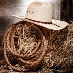 Download Rope Hat Photography Cowboy PFP