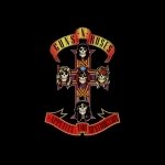 Download Music Guns N' Roses PFP