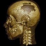 Download Human Skull Dark PFP