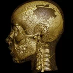 human skull dark PFP