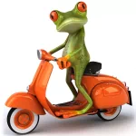  Biker Frog