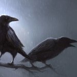 Download Animal Crow PFP