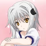 Anime High School DxD PFP