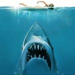 Download Shark Jaws Movie PFP