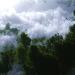Misc earth PFP